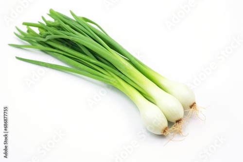 A single green onions isolated on white background