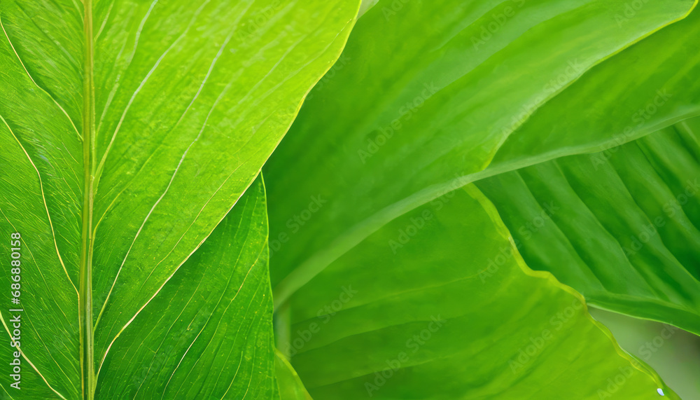 Verdant Curves of Spring Verdant Curves of Spring