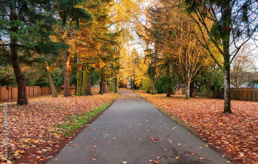 Scenic Walking Path in Suburban Neighborhood. Fall Season, Sunny Day.