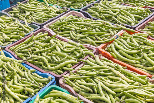 Fresh bean pods on a farm in Tunisia.