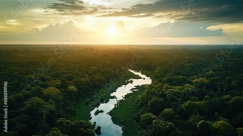 Top view of beautiful green amazon forest landscape at sunset sunrise. Air dron view vibe. AI generated.