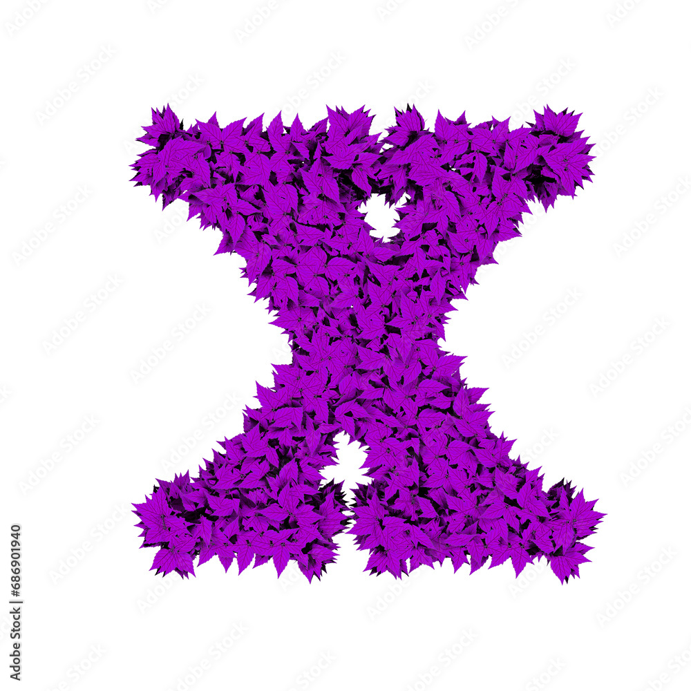 Symbol from purple leaves. letter x Symbol from purple leaves. letter x