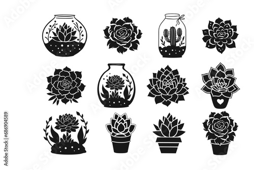 Vector cactus succulent silhouette set cutout nature black flower in a pot terrarium collection photo