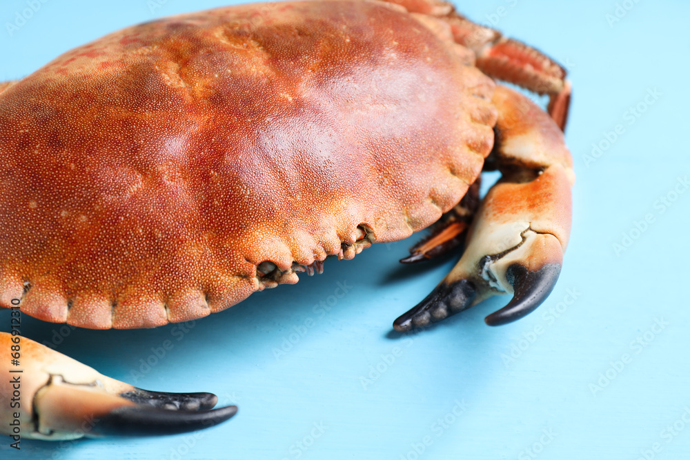 Delicious boiled crab on light blue wooden table, closeup Delicious boiled crab on light blue wooden table, closeup