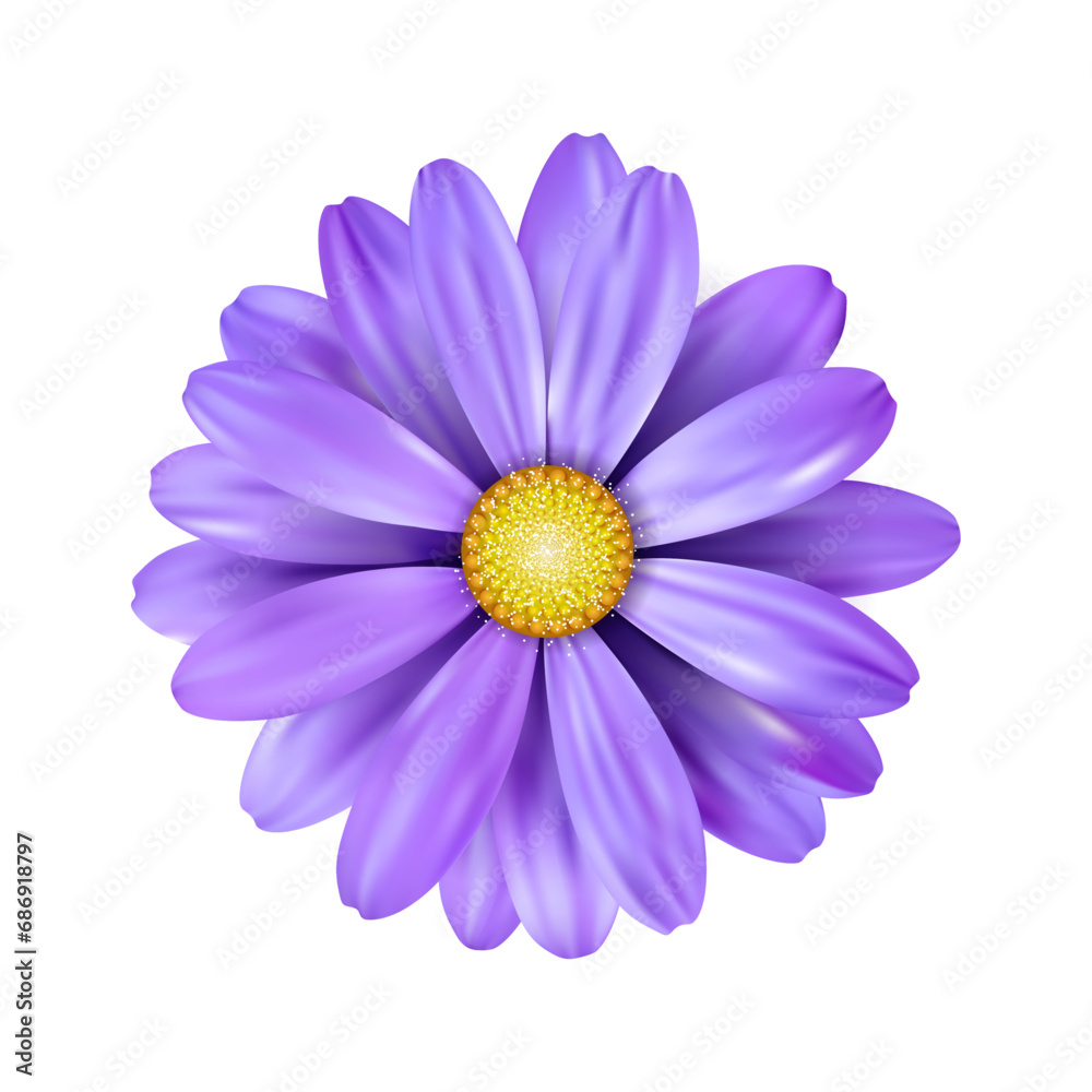 Vector a purple sunflower on white background