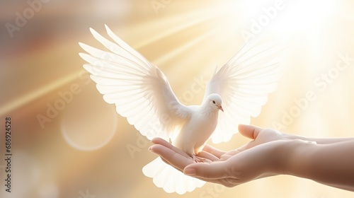 Freedom banner concept, praying hand and white dove happy flying on sunset, heaven, light flare background photo