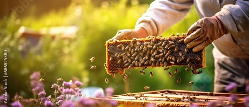  beekeeper inspecting a beehive frame filled with honey and bees in a tranquil garden during spring, with the focus on the frame and the blurred garden  photo