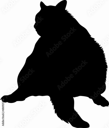 Photography Sitting black fat cat illustration - silhouettes of the fat cat isolated on whit
