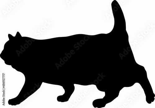 Photography Walking black fat cat illustration - silhouettes of the fat cat isolated on whit