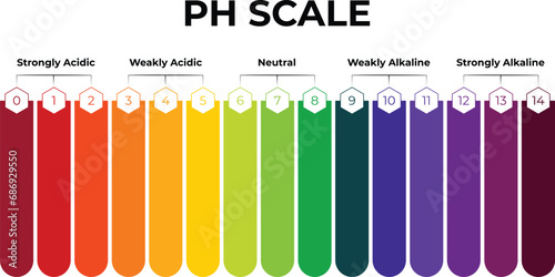 PH Scale Science Design Vector Illustration photo