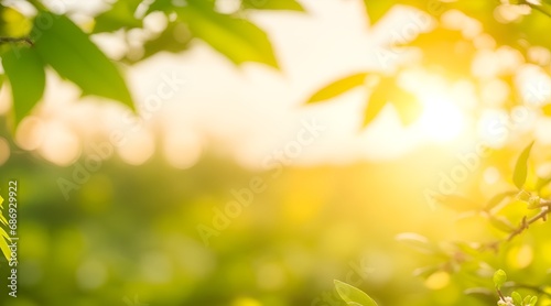 A summer sunset, sunrise background with lush green foliage and orange glow sky with blurred spring bokeh highlights.