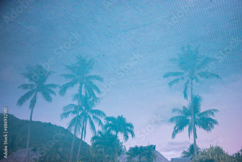 Artistic pattern of a reflection of palm trees in the tropical blue water photo