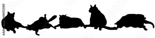 Set of five black cats vector illustrations - silhouettes of the cats isolated on white background-5匹の並んだ黒猫のベクター素材	 photo