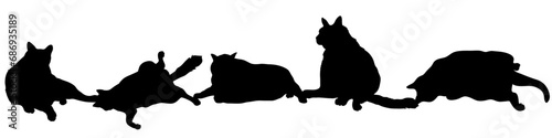 Set of five black cats vector illustrations - silhouettes of the cats isolated on white background-5匹の並んだ黒猫のベクター素材	