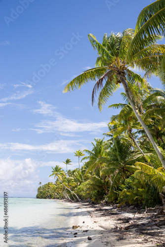 A remote island in a tropical paradise with bright white sand on the beach photo