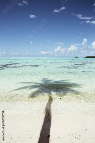 Palm tree shadow reflecting in the blue turquoise clear tropical water in Tahiti 