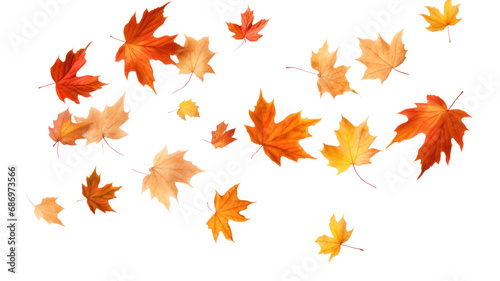 realistic falling leaves Autumn leaves on transparent background. Isolated.
