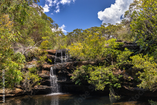Waterfall and Water Gums in flower, Royal National Park, Sydney Australia