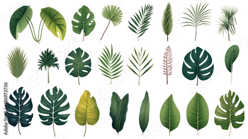 Set of beautiful tropical leaves exotic tropical leaves Perfect for holiday decorations  greeting cards  brochures or posters on a transparent background. Isolated.