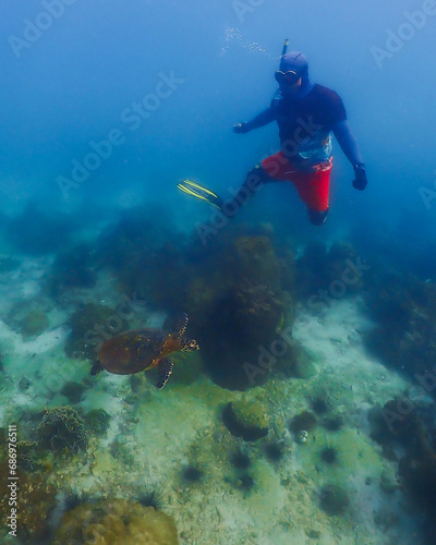 snorkeling trip at Samaesan Thailand. men dive underwater with turtles in the coral reef sea pool. Travel lifestyle, watersport adventure, swim activity on a summer beach holiday 
