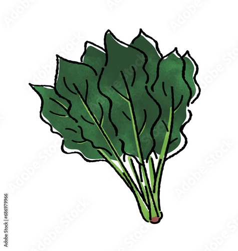 ほうれん草