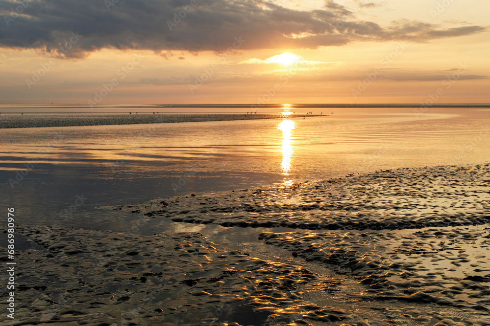 Naklejka premium Wattenmeer, mud tideland in North Sea, Germany. Nordsee, Watt by sunset.