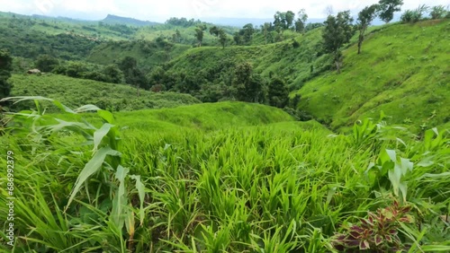 Beautiful Bandarban 