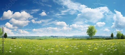 midst of a serene landscape, vibrant green grass danced under the warm summer sun, painting a breathtaking background against the clear blue sky adorned with fluffy white clouds, showcasing the beauty