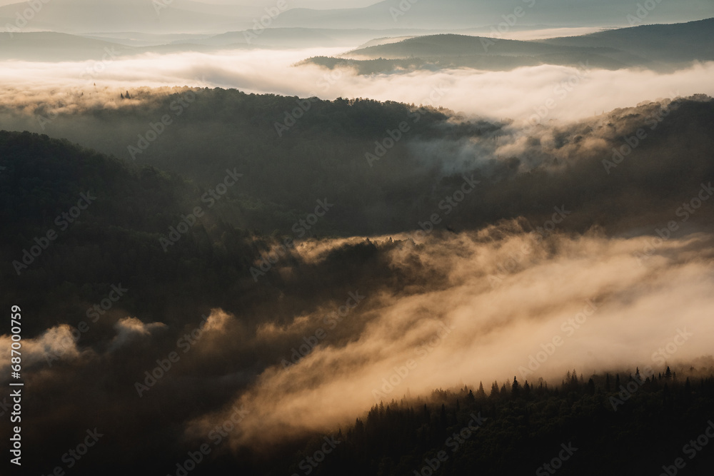 Morning fog spreads over the tops of the forest, dawn in the mountains Morning fog spreads over the tops of the forest, dawn in the mountains