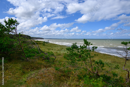 Baltic sea coast in windy day.
