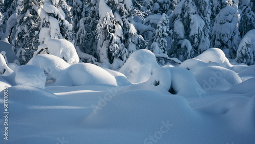 Winter of the Totenaasen Hills  Oppland  Norway.