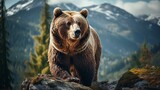 A brown bear stands atop a rock with a backdrop
