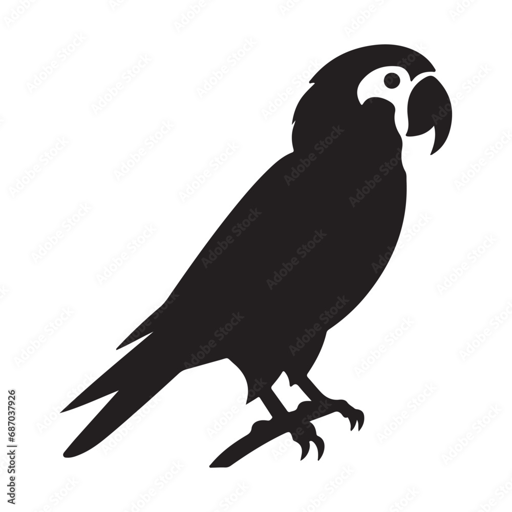 Obraz premium A black Silhouette parrot animal vactor 