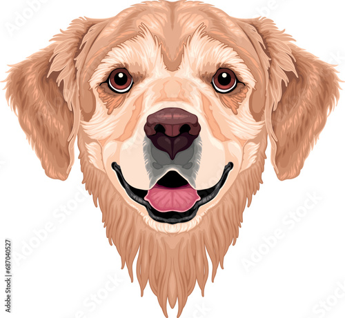 Dog frontal view, vector is...