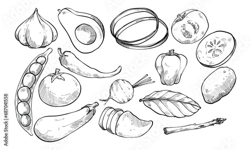 vegetables handdrawn collection