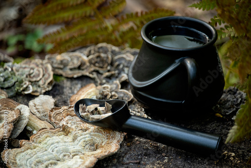 Mushroom coffee superfood. mushroom coffee with Turkey’s tail, Trametes versicolor mushrooms. A cup of coffee and mushrooms on a natural background in the forest Healthy organic energizing adaptogen photo