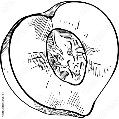 peaches handdrawn illustration