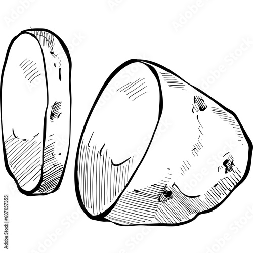 potato handdrawn illustration