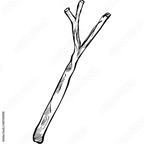 wood handdrawn illustration