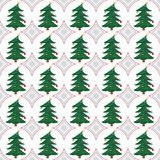 beautiful colorful Christmas background with green spruce