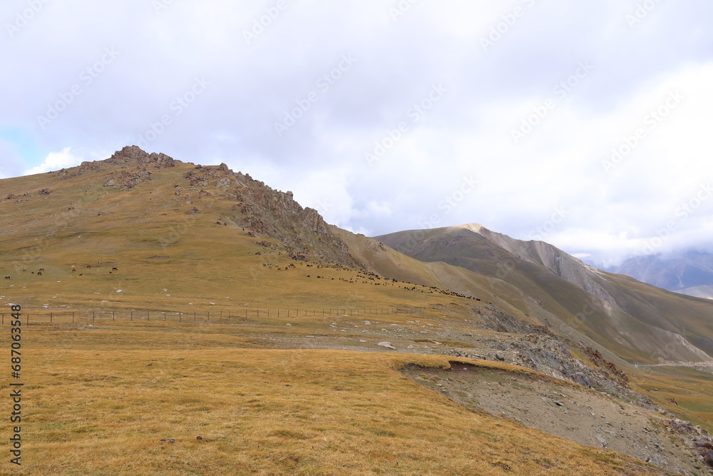 Kalmak Ashu pass in Central Tian Shan mountains, way to Song Kol lake, Kyrgyzstan, Central Asia