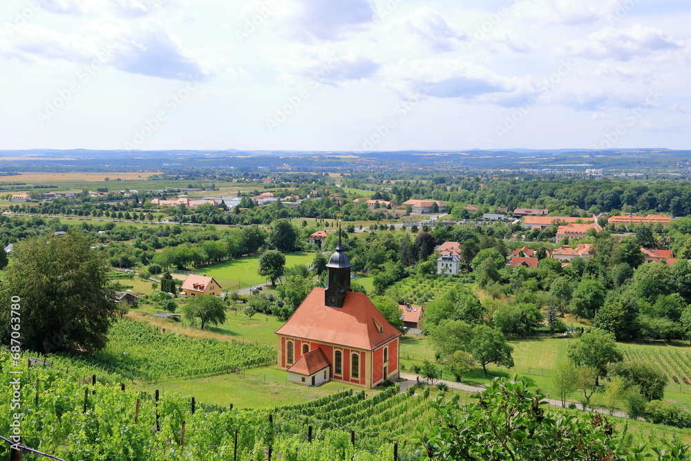 view over Dresden from the Pillnitz vineyards