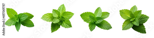 A set of Vibrant Raw Mint Leaves (Melissa) Full Depth of Field to Capture Every Detail Isolated on a Transparent Background photo