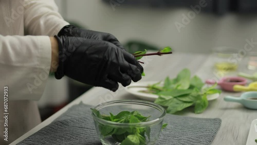 Chef prepares ingredients for Thai cooking by pick the basil leaves stock video, Homemade cooking concept
