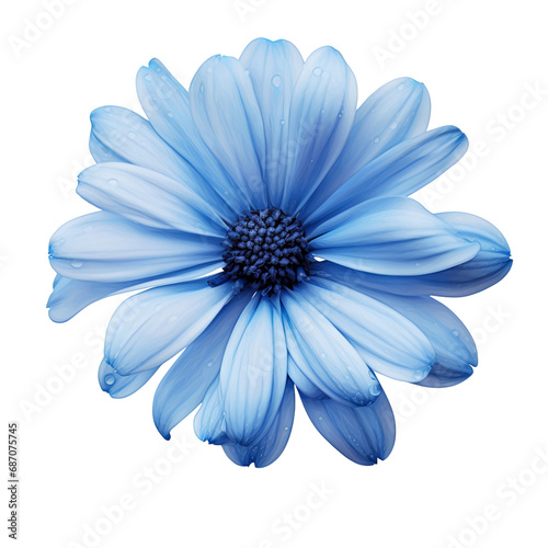 Blue flower blossom isolated on transparent background PNG