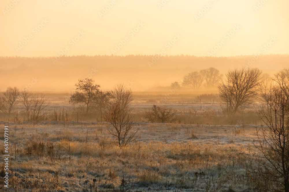Morning landscape of forest-steppe in the countryside. A foggy morning in late autumn or early winter with snow or frost on the grass. Golden hour