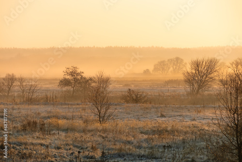 Morning landscape of forest-steppe in the countryside. A foggy morning in late autumn or early winter with snow or frost on the grass. Golden hour