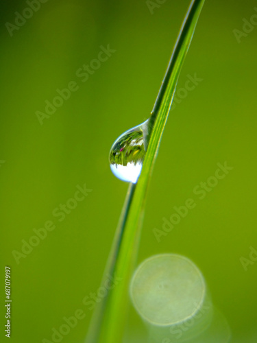 A drop of dew on a blade of grass. Green background.