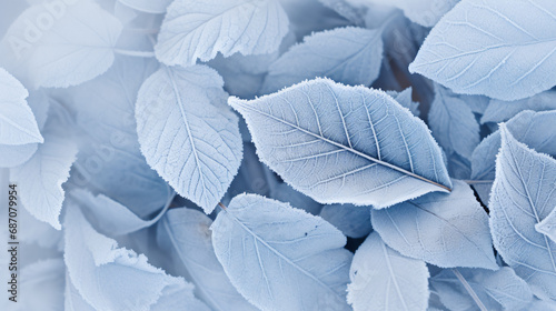 A close up view of frosted leaves