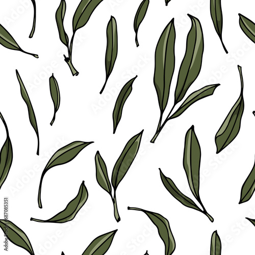Vector seamless pattern with hand drawn sage leaves. Beautiful culinary design elements, ink drawing. Perfect for prints and patterns